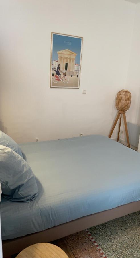L'Ecrin Des Calquieres Apartman Nîmes Kültér fotó